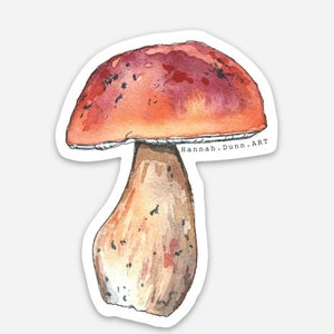 Decalcomania ad acquerello King Mushroom, 3" resistente alle intemperie