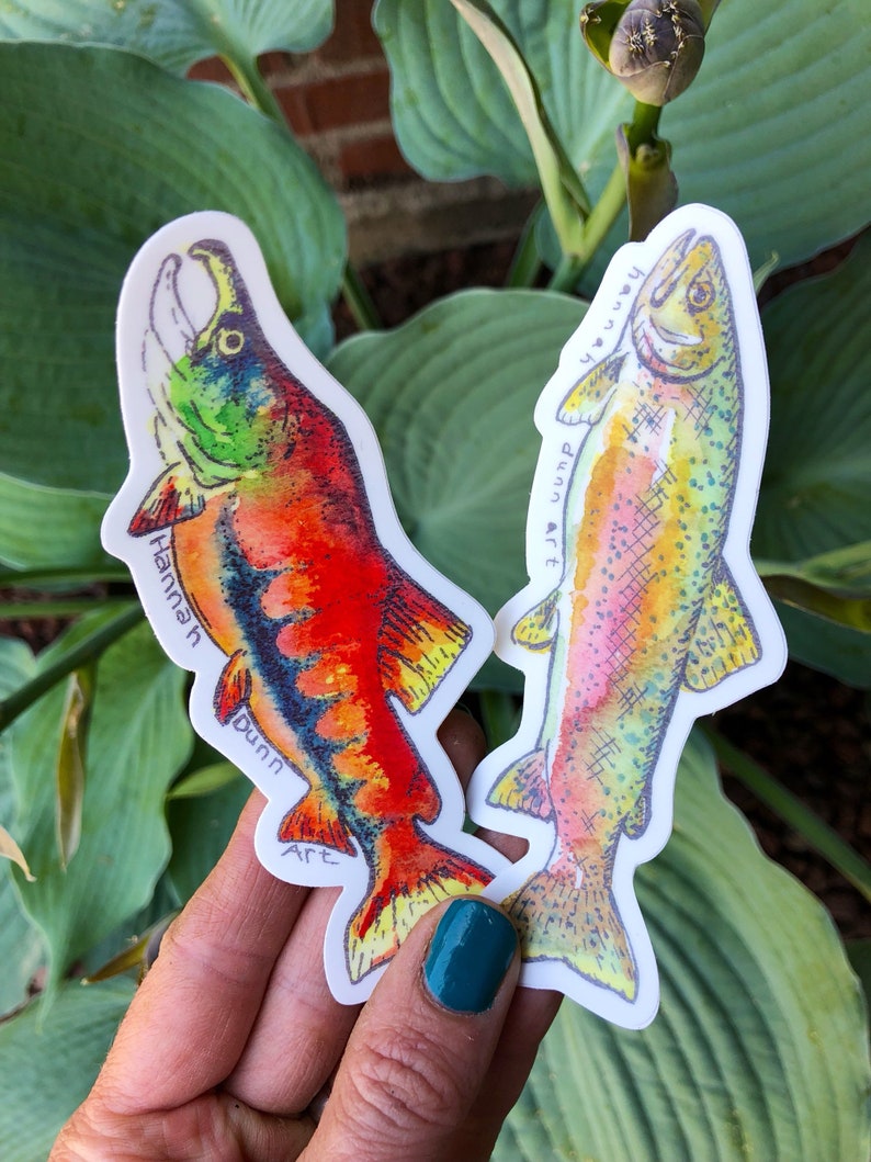 PNW fish decal