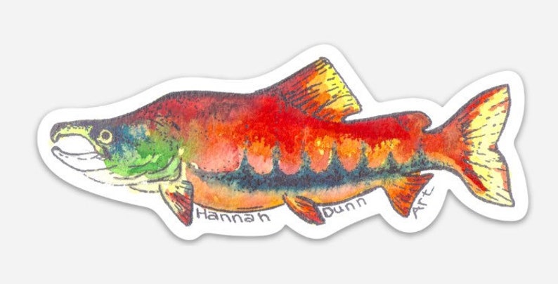 PNW fish decal