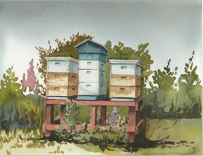 Beehive Watercolor Art Print | Homestead Beekeeping Decor - Etsy UK