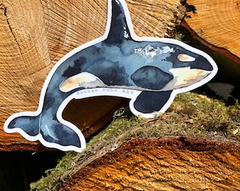 Vinyl Orca Whale watercolor decal, die cut, sticker, wildlife, pacific northwest art, San Juan Islands, Whidbey Island