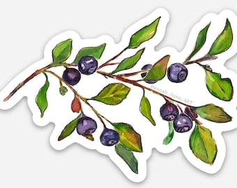 Pegatina de Huckleberry, pintada a mano