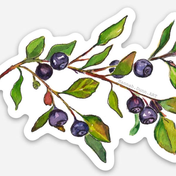Huckleberry Sticker, hand painted