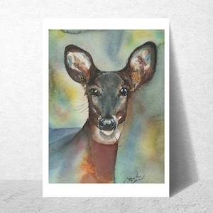 Whitetail Doe Watercolor Print