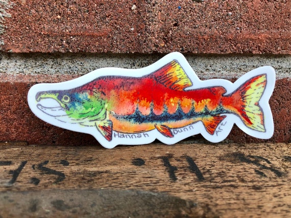 PNW fish decal