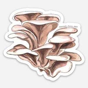 Oyster Mushroom watercolor decal, 3" weather resistant
