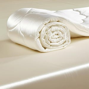 Pure Mulberry Silk Duvet insert / Quilt – All Season