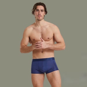 Men 100% Mulberry Silk Boxer