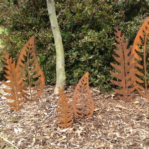 May include: Four rusty metal fern leaf sculptures of varying sizes are arranged in a garden setting. The sculptures are made of thin metal and have a rustic, weathered look.