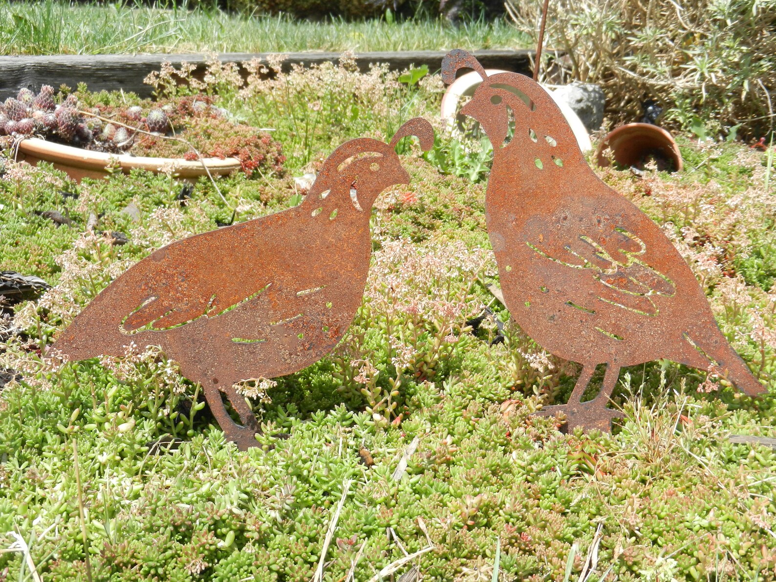 Quail Metal Garden Ornament / Quail Gift / Rusty Metal Quail Etsy