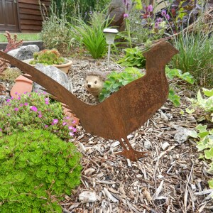 May include: A rusty metal silhouette of a pheasant with a long tail, standing in a garden setting with brown mulch and green plants.