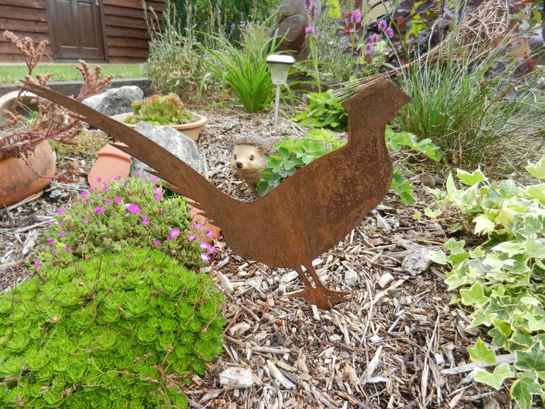May include: A rusty metal silhouette of a pheasant with a long tail, standing in a garden setting with brown mulch and green plants.