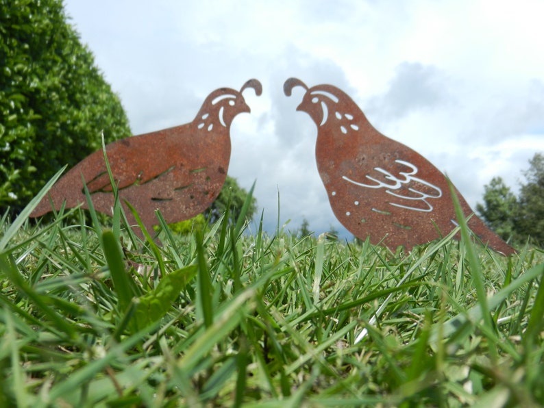 Quail Metal Garden Ornament / Quail Gift / Rusty Metal Quail Etsy UK