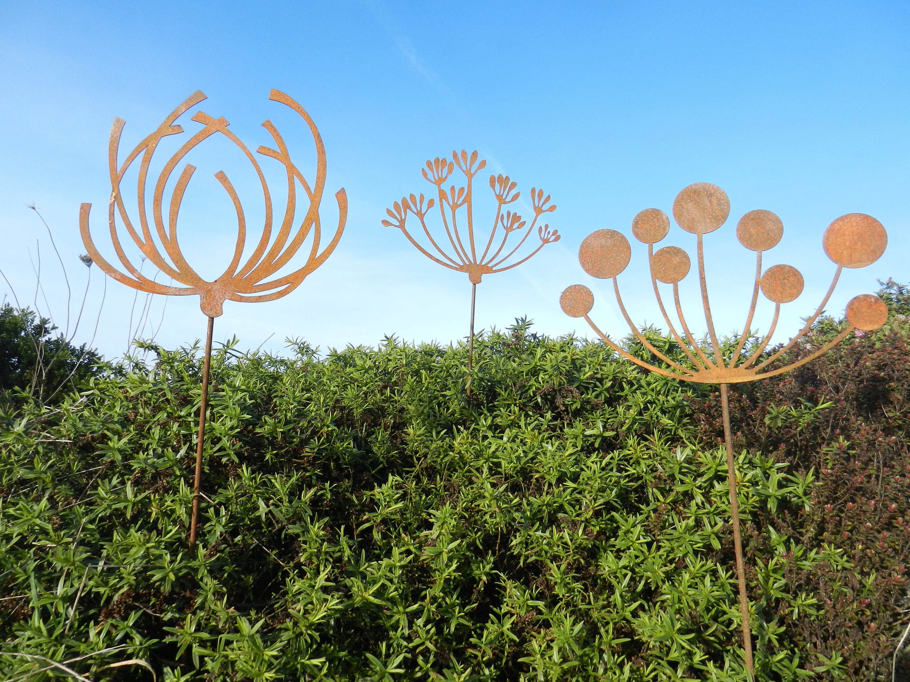 Rusty Metal Poppy Seed Head / Metal Seed Head Garden Decor / Etsy
