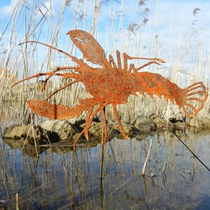May include: A rusty metal lobster sculpture stands in a shallow pond with reeds in the background. The sculpture is a silhouette of a lobster with its claws outstretched.