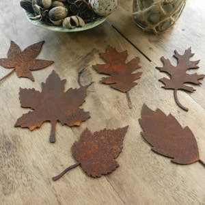 May include: Six rusty metal leaf shapes in various sizes and styles, including maple and oak leaves, on a wooden surface.