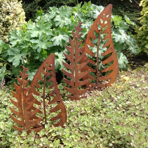 May include: Three rusty metal fern leaf sculptures in a garden setting. The sculptures are different sizes and are arranged in a row.