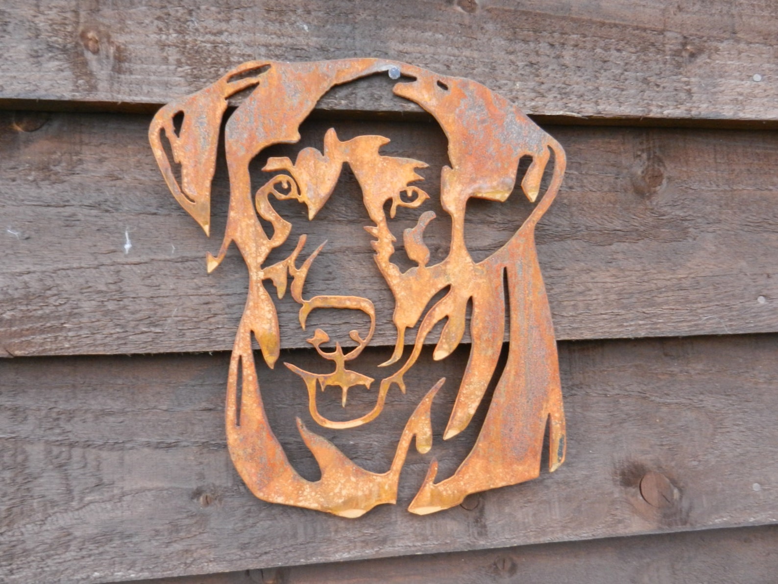 Rusty Metal Labrador Dog Head Garden Decoration / Labrador Retriever ...