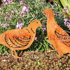 Partridge brace Metal Garden Ornament / Partridge gift / Rusty Metal Quail Gift for Gamekeeper gift / Wildfowl Garden decor