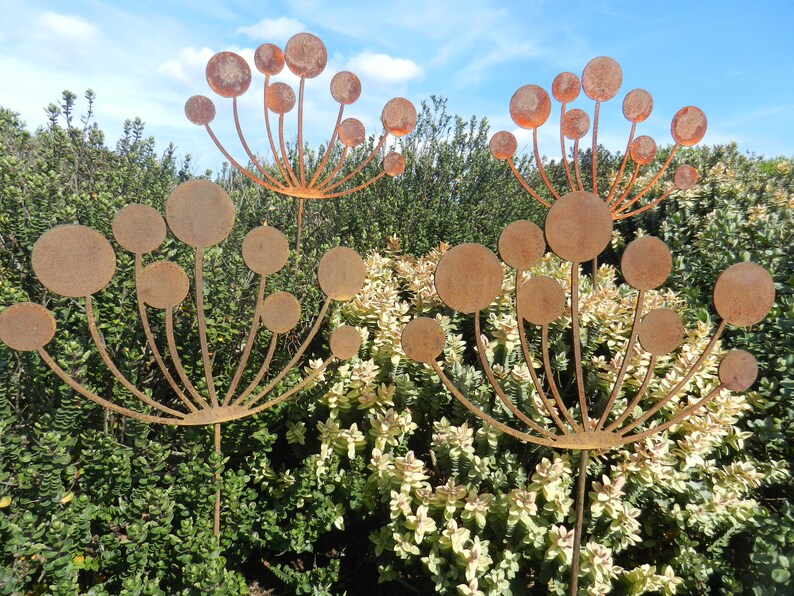 Rusty Metal Cow Parsley Sculpture / Metal Seed Head Garden Etsy UK