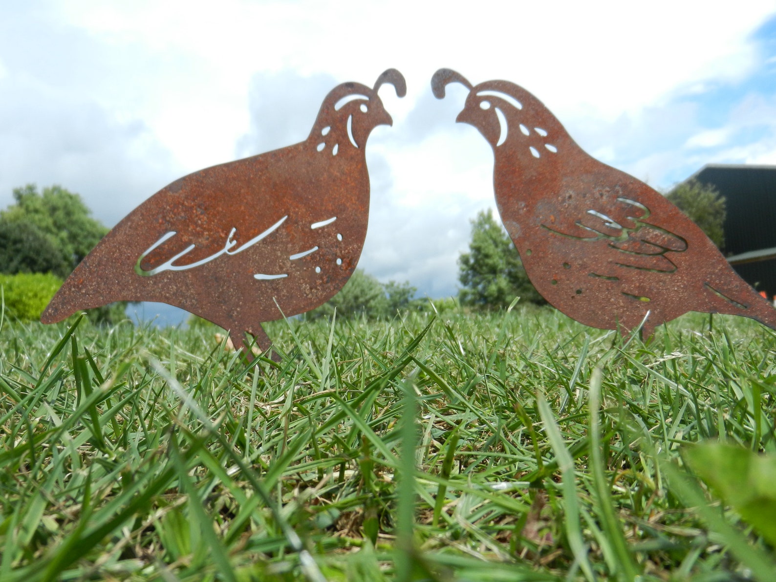 Quail Metal Garden Ornament / Quail Gift / Rusty Metal Quail Etsy
