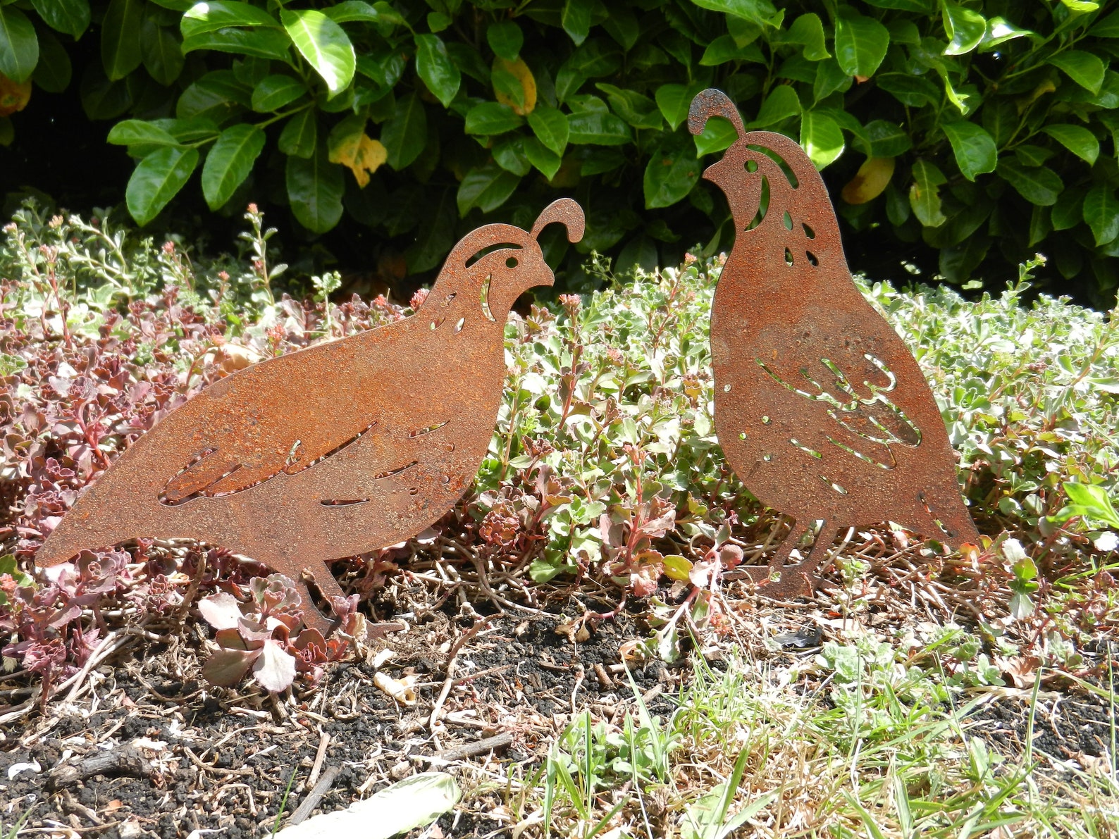 Quail Metal Garden Ornament / Quail gift / Rusty Metal Quail Etsy