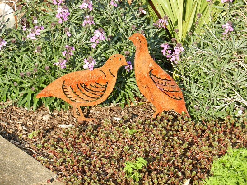 Partridge Brace Metal Garden Ornament / Partridge Gift / Rusty Etsy UK