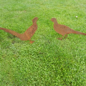 May include: Two rusty metal silhouettes of pheasants standing on a green grassy lawn.