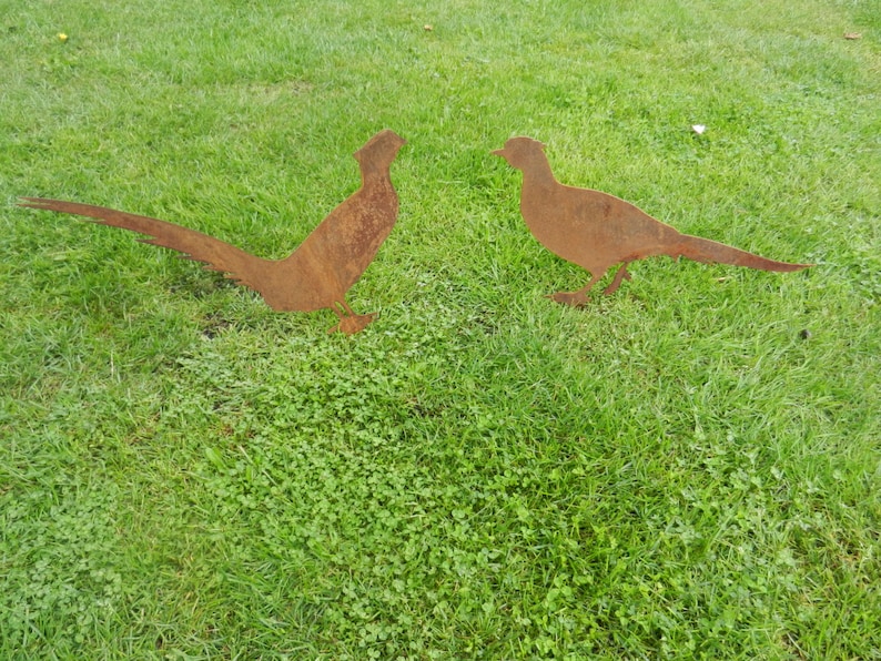 Rusty Metal Pheasant Garden Decor / Rustic Pheasant Garden Etsy