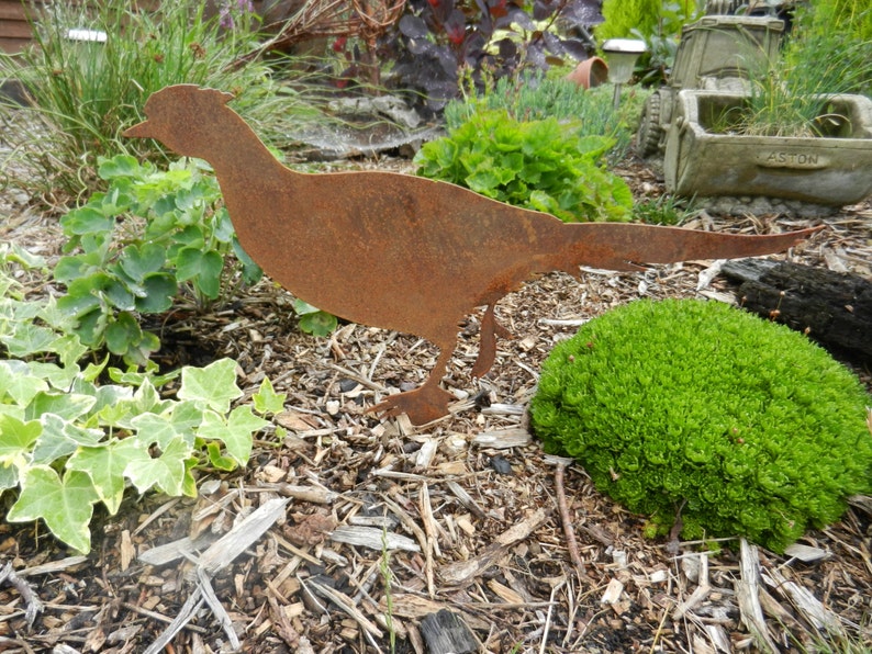 Rusty Metal Pheasant Garden Decor / Rustic Pheasant Garden Etsy