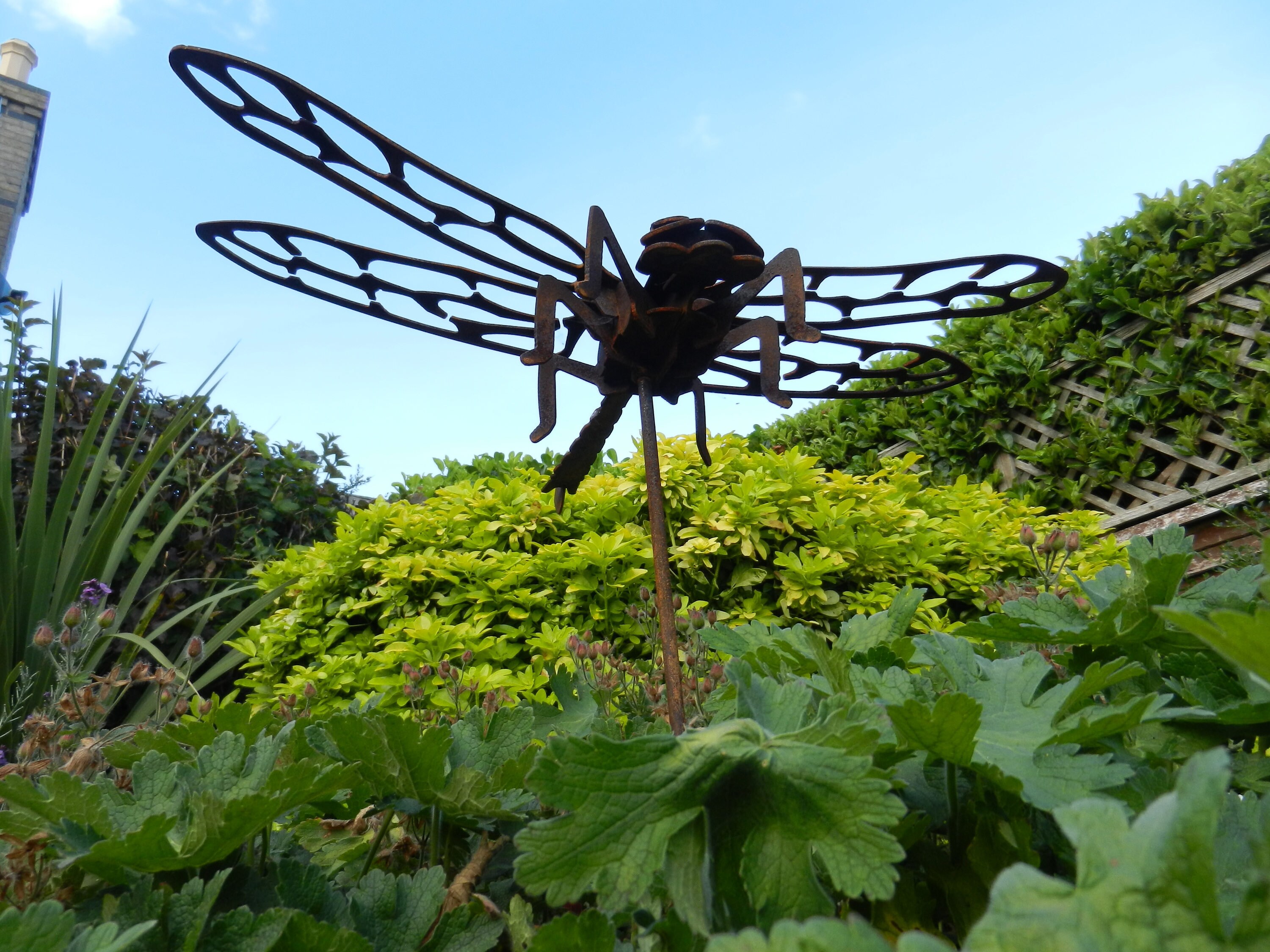 Giant Dragonfly Garden Sculpture / Rusty Metal Garden Decor / Etsy