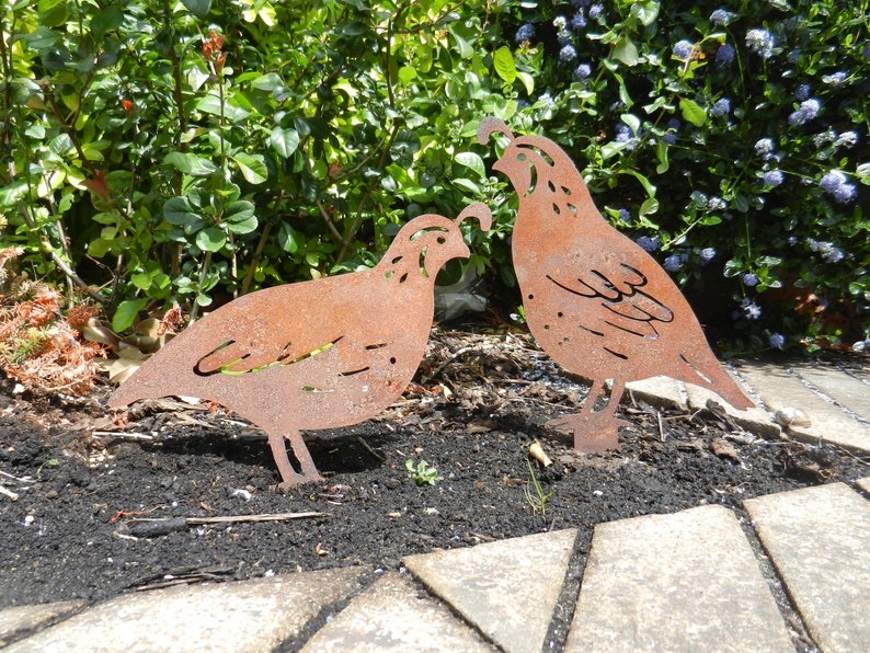 Quail Metal Garden Ornament / Quail Gift / Rusty Metal Quail Etsy UK