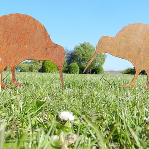 3 Kiwi Garden Decor / Rusty Metal Kiwi Bird Garden Gift / New Zealand Bird Metal Garden Ornament - Set of Three