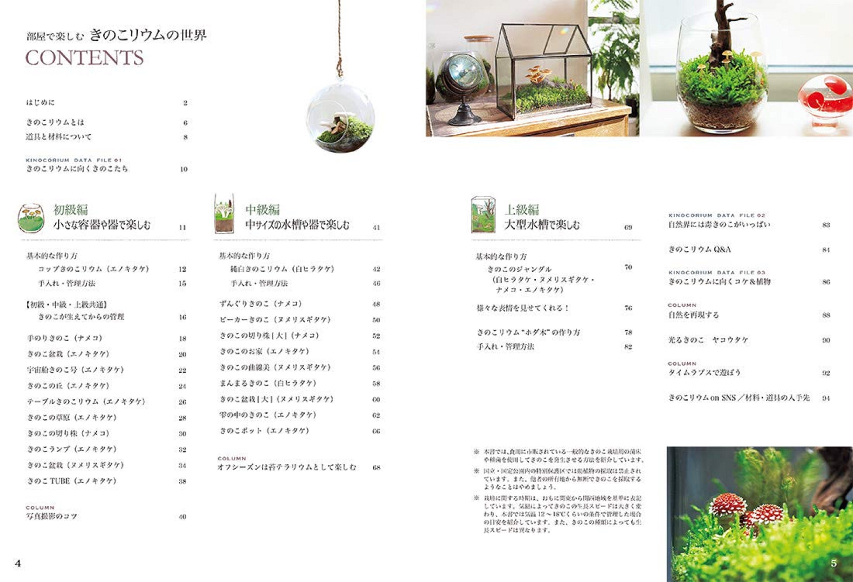 The World Of Mushroom Terrariums In Your Room Japanese Craft Etsy India