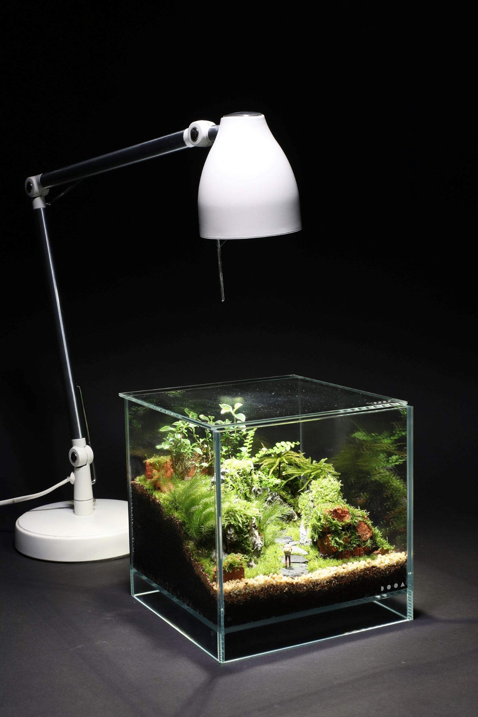 Light and Moss Terrarium Japanese Craft Book Tsuyoshi Kawamoto Etsy