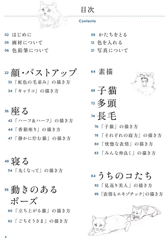 Cat Illustrations Japanese Craft Book Kentaro Nakamura Etsy