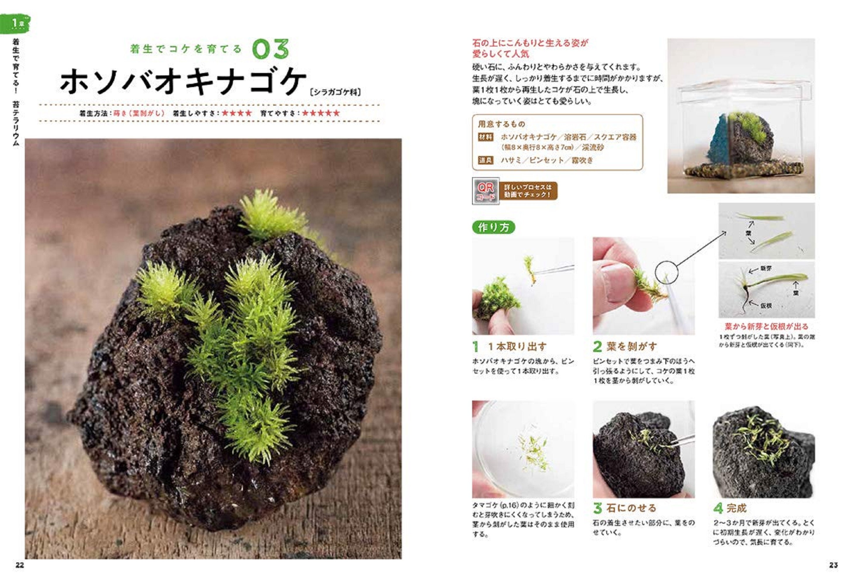 How To Make A Fascinating Moss Terrarium Japanese Craft Book Etsy Sweden How To Make A Fascinating Moss Terrarium Japanese Craft Book Etsy Sweden