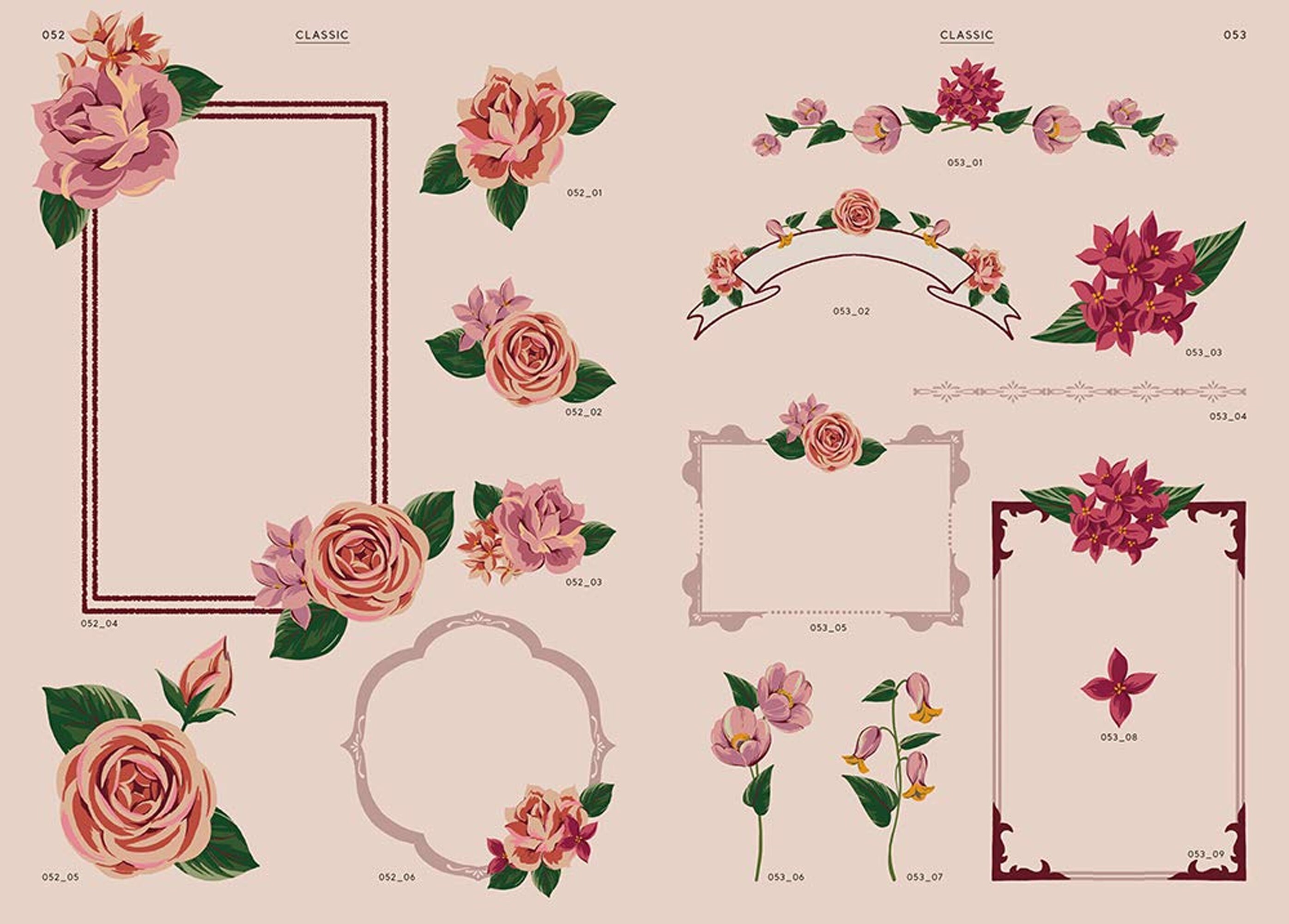Collection of colorful flower illustrations Japanese | Etsy