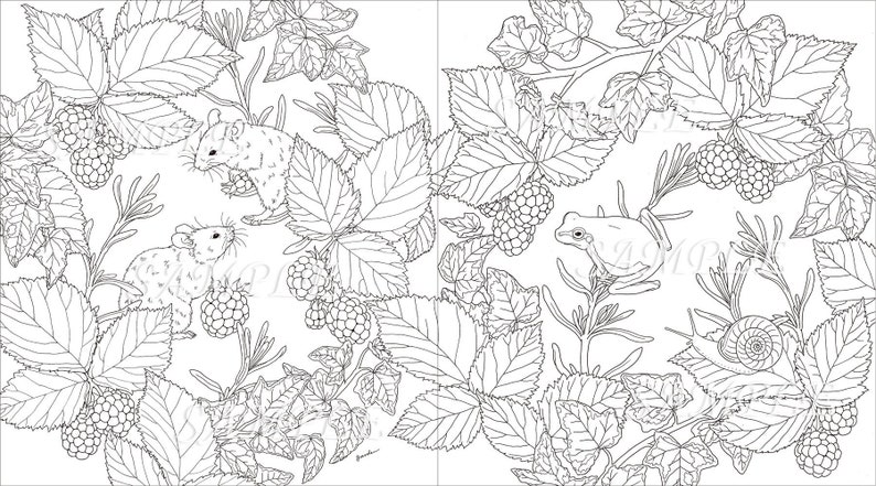 Download Garden COLORING BOOK Japanese Craft Book Coloring book | Etsy