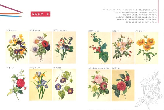 Beautiful Elegant Flowers Japanese Craft Book Hikaru Evergreen Adult Sketch Coloring Book