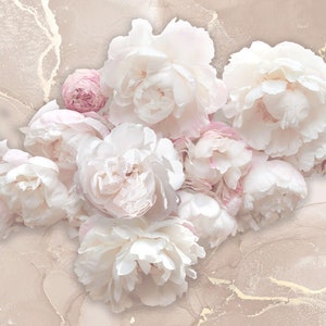Carta da parati floreale con peonie: fiori bianchi e rosa, murale in vinile con effetto marmo dorato