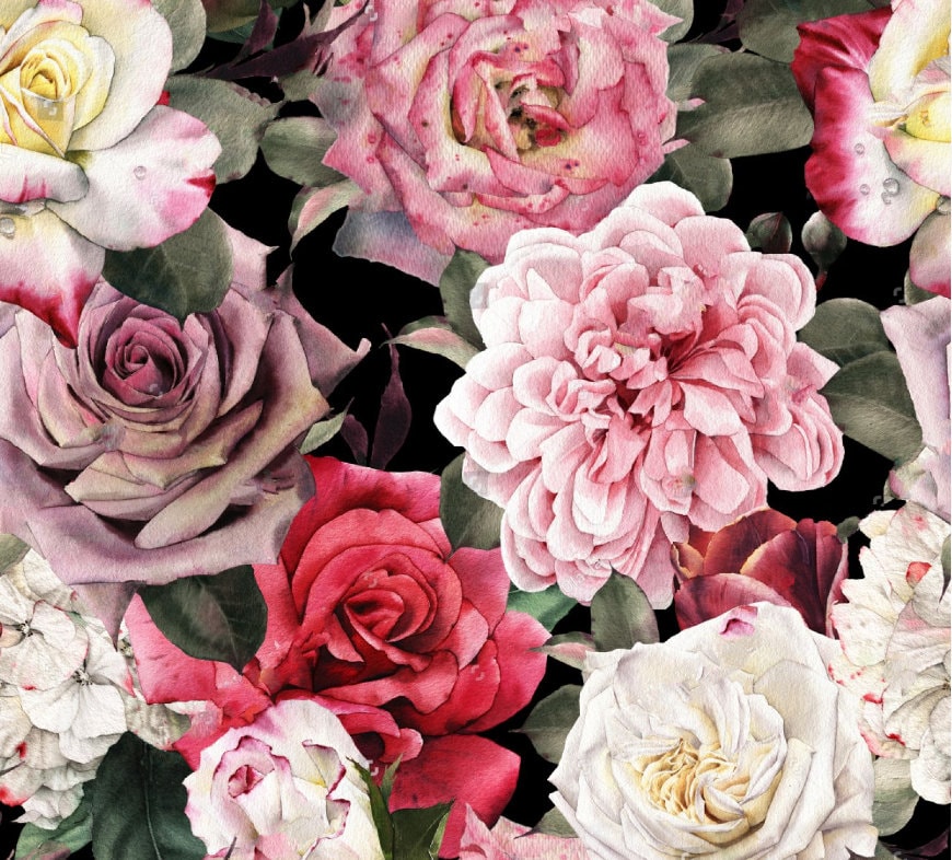 写真の壁紙 ヴィンテージの花 水彩画の壁紙 バラ 牡丹 大きな花