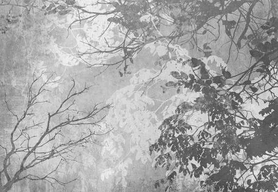 Gray Tree Wallpaper Days Of Bloom Wallpaper Tapestry Tree Green