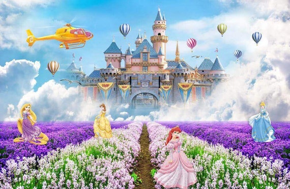 CINDERELLA/'S NIGHT Photo Wallpaper Wall Mural DISNEY KIDS Made in Germany!