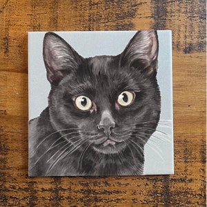 May include: A close-up portrait of a black cat with bright yellow eyes. The cat is looking directly at the camera with a curious expression.