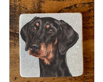 May include: A black and tan Doberman Pinscher dog with a white background. The dog is looking to the left of the image.