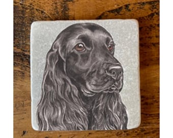 May include: A black and white illustration of a black cocker spaniel dog on a light gray background.