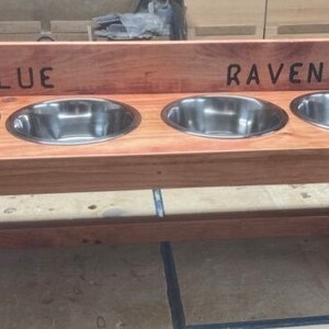 Puede incluir: Un comedero de madera para mascotas con cuatro cuencos de acero inoxidable. El comedero es de madera de color marr&oacute;n rojizo y tiene las palabras "BLUE" y "RAVEN" talladas en la parte superior. Los cuencos est&aacute;n espaciados uniformemente.