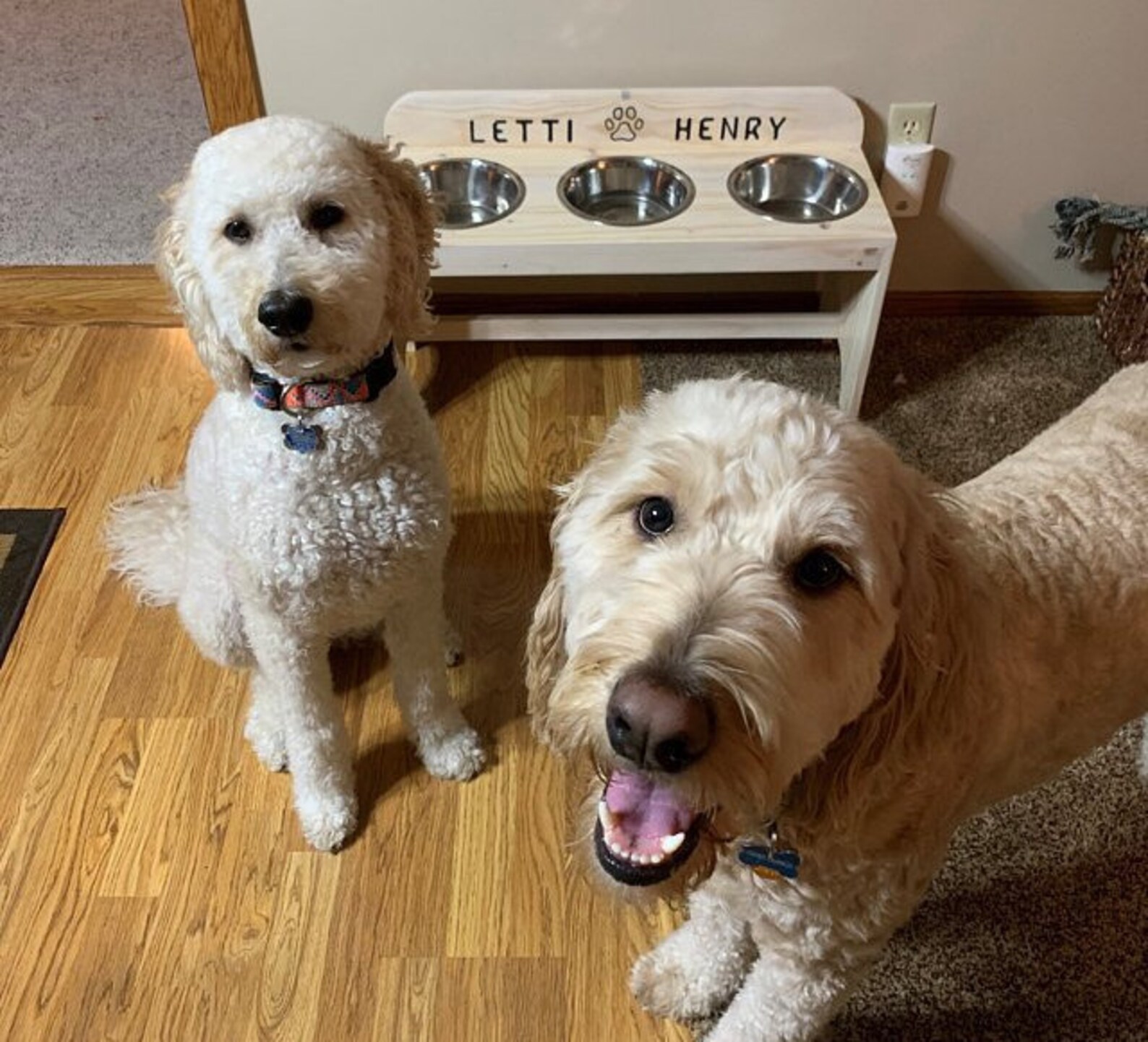3 Bowl Elevated Feederpet Feeder 3 Bowls Raised Feeder 3 Etsy