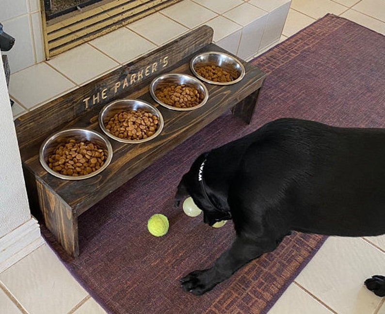 Puede incluir: Un soporte de madera marr&oacute;n oscuro para cuencos de perro con cuatro cuencos de acero inoxidable llenos de comida para perros. El soporte tiene grabado "THE PARKER'S". Un perro negro juega con dos pelotas de tenis sobre una alfombra morada.